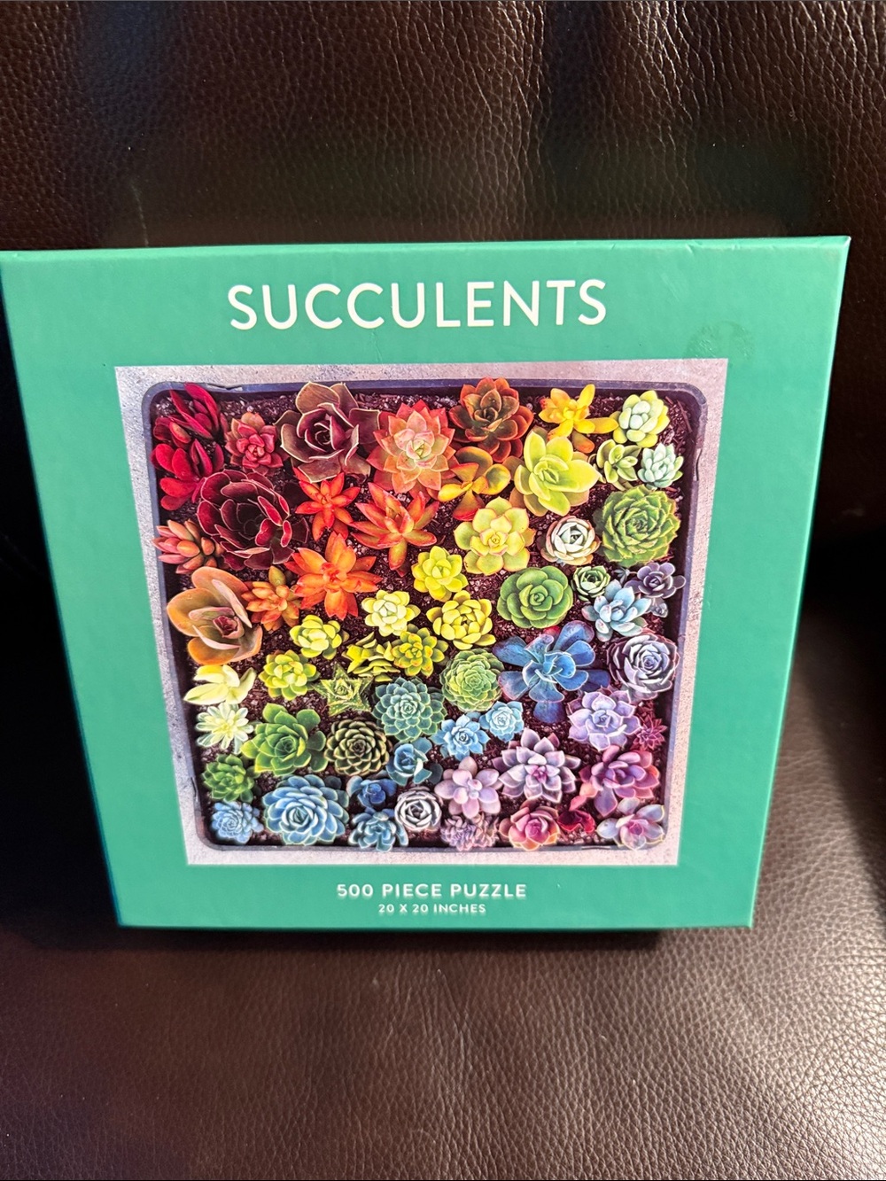 Galison Rainbow Succulent 500-Piece Jigsaw Puzzle - new in box bag sealed